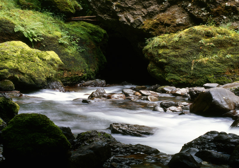 Carte postale Petite rivière du Cantal - France