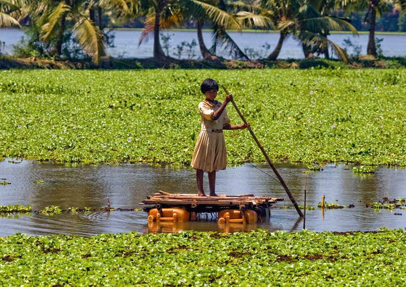 Carte postale En route pour l école - Kerala, Inde